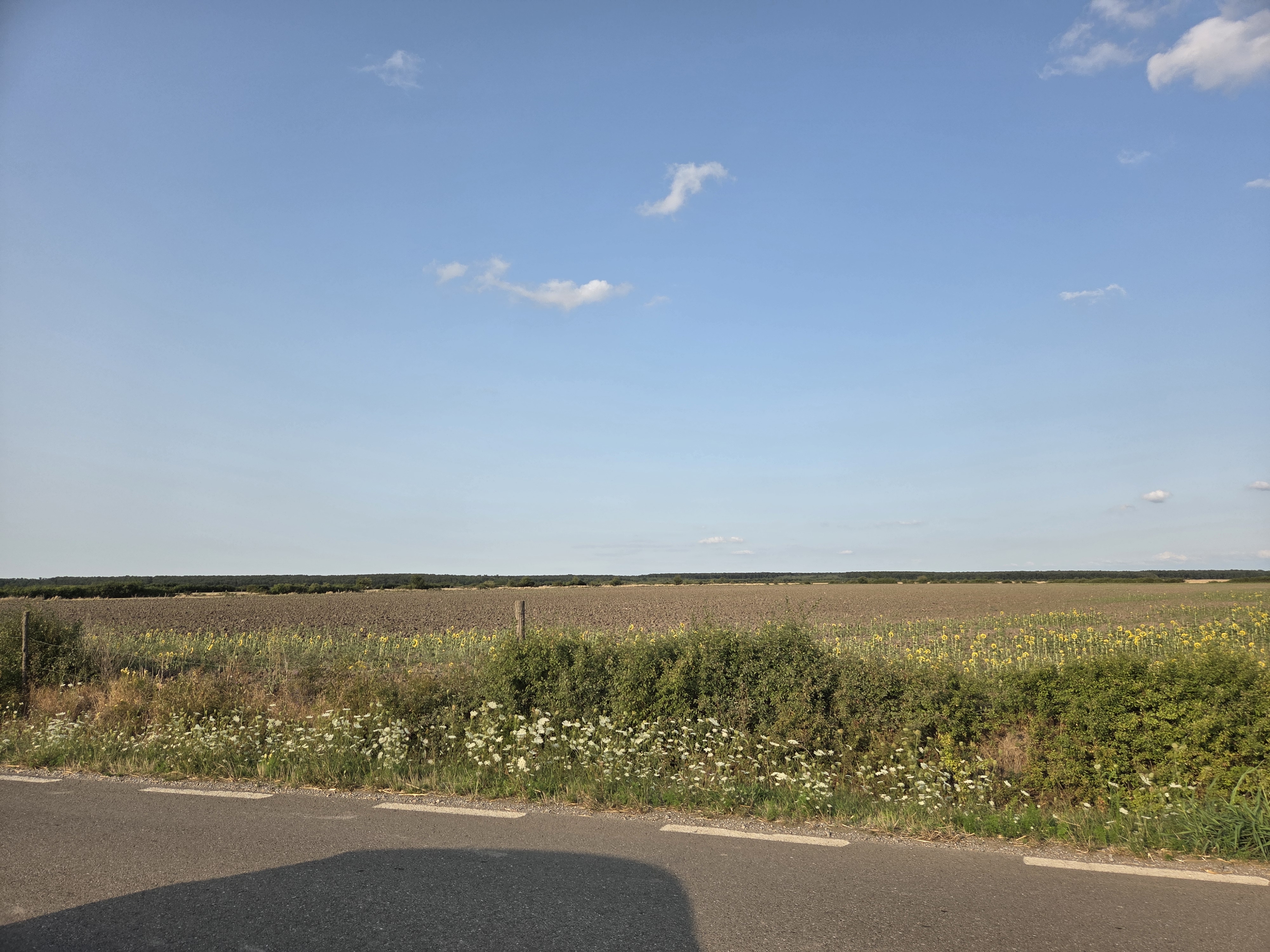 Teren extravilan in suprafata de 28.179 mp, situat in loc. Madaras, jud Bihor