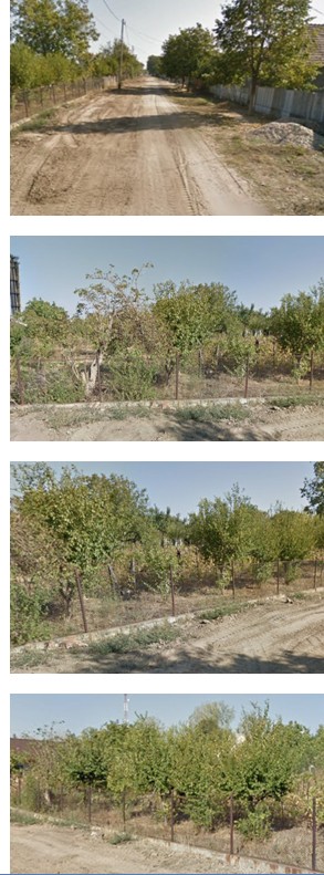 Teren agricol - in suprafata de 480 MP