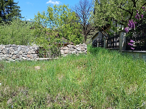 Foto2