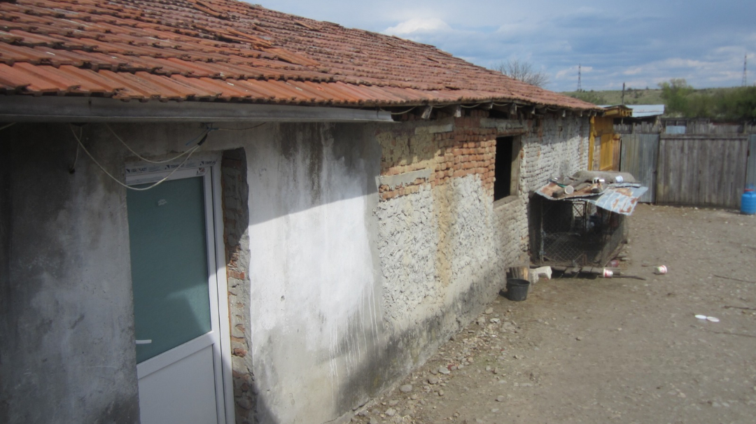 poza 7