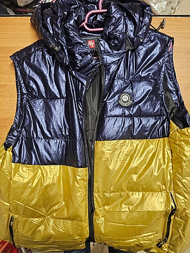 Vestă