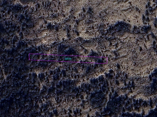 google maps detaliu