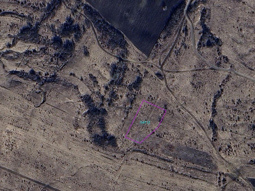 Google maps detaliu