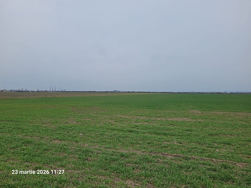 foto5