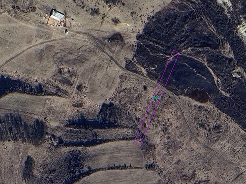 google maps detalia