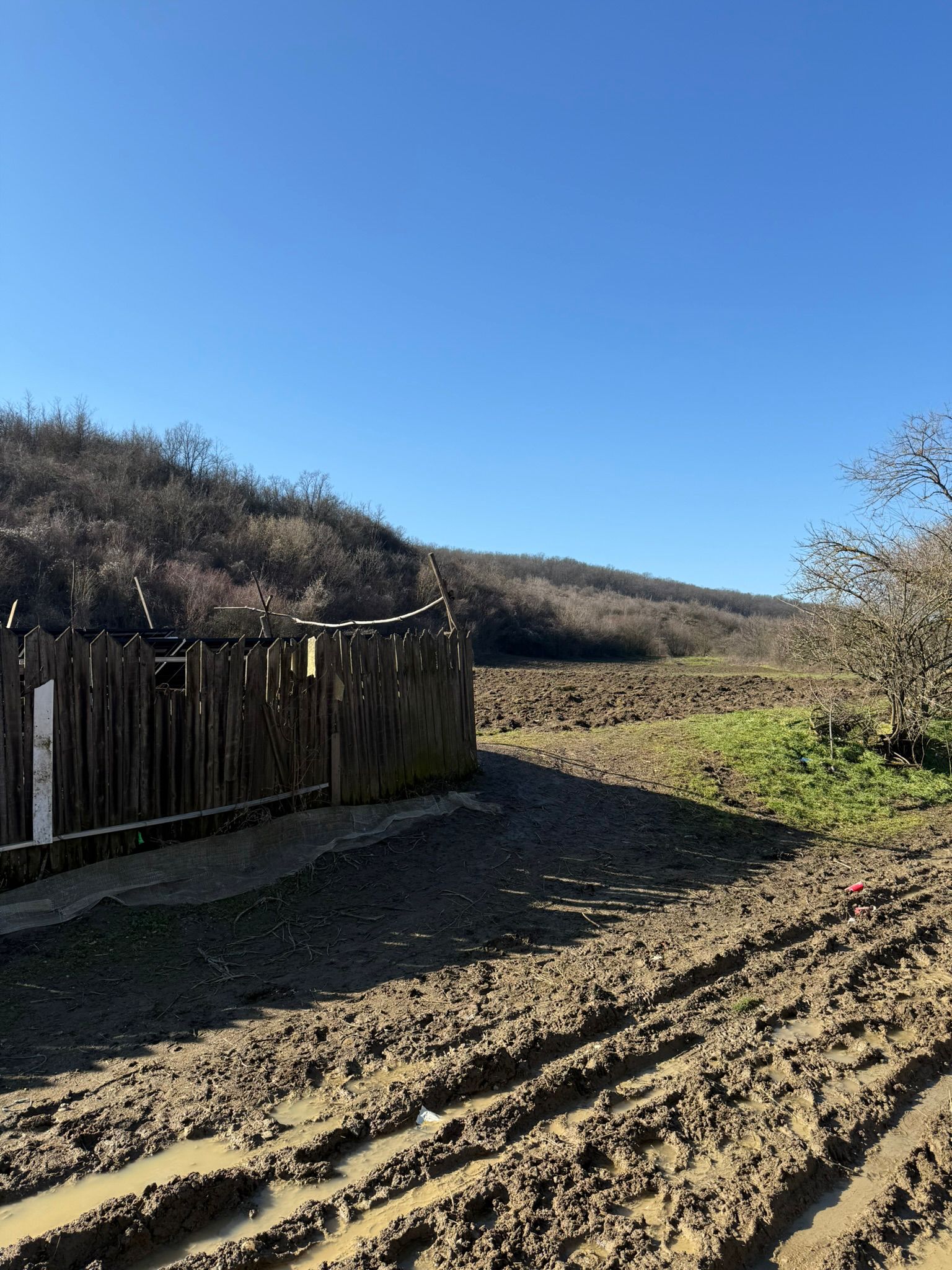 Teren intravilan