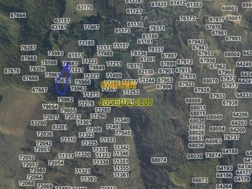 evaluator google maps