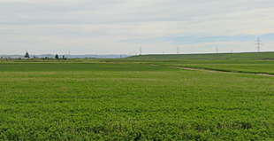 TEREN EXTRAVILAN IN SUPRAFATA DE 1959 MP, INREGISTRAT IN CF NR. 63021 TURDA