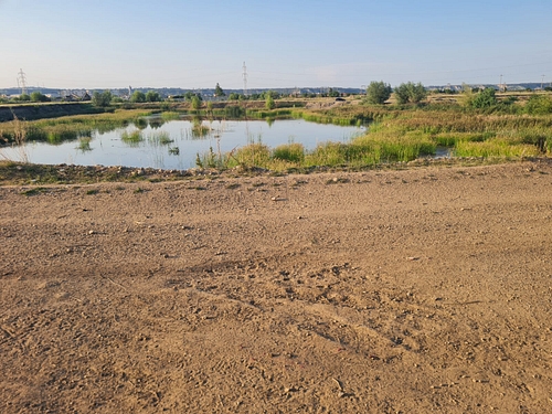 TEREN EXTRAVILAN IN SUPRAFATA DE 5000 MP, INREGISTRAT IN CF NR. 56172 TURDA