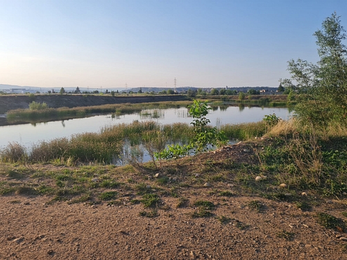TEREN EXTRAVILAN IN SUPRAFATA DE 6700 MP, INREGISTRAT IN CF NR. 55993 TURDA