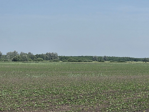 Teren agricol - arabil cota 4/16 7500 MP