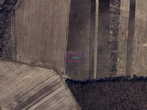 google map detaliu