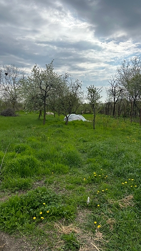 Teren agricol -