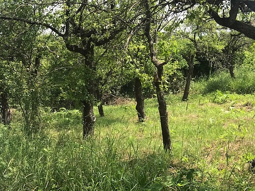 Teren intravilan agricol - teren in suprafata de 639 MP