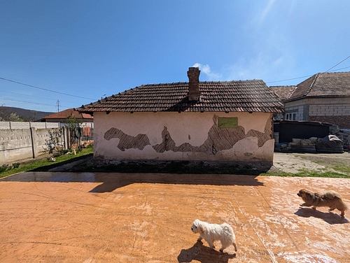 poza 6