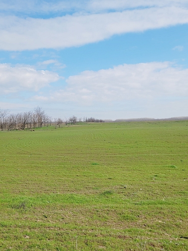 Teren agricol - Extravilan