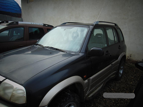 suzuki 6
