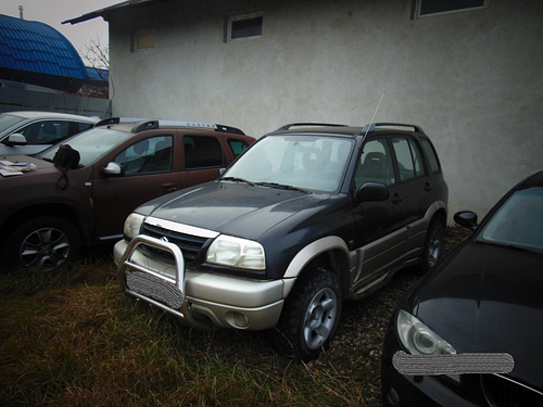 Suzuki 2