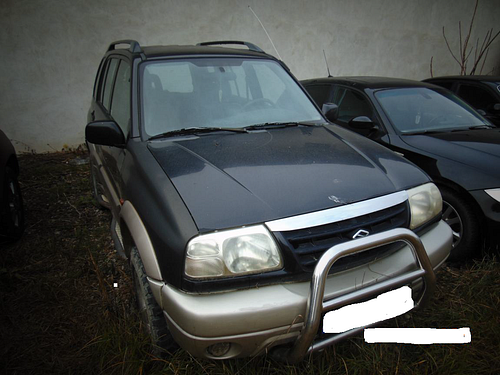Suzuki1.