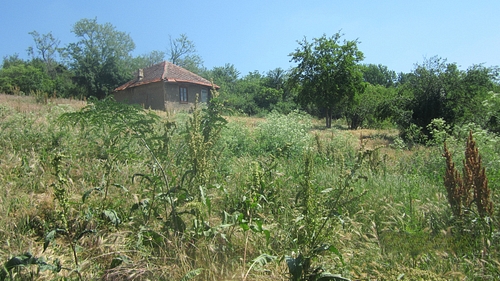 poza 3
