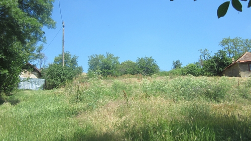 poza 7