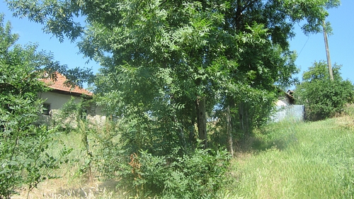 poza 8
