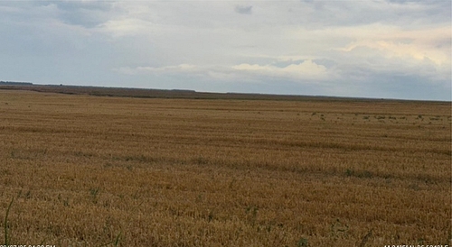 Teren agricol - extravilan in suprafata de 7500 MP