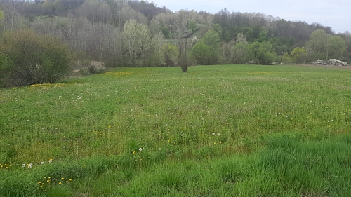 Teren agricol - partial intravilan in suprafata de 3161 MP