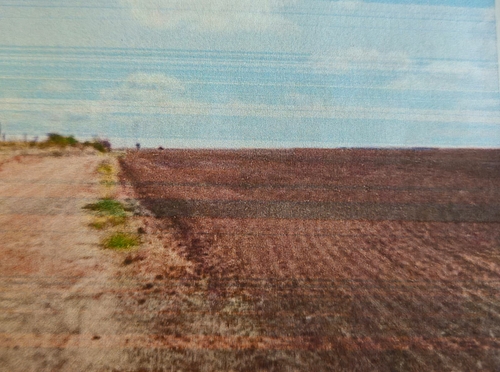 Teren agricol - extravilan in suprafata de 3100 MP