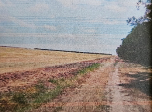 Teren agricol - extravilan in suprafata de 4500 MP