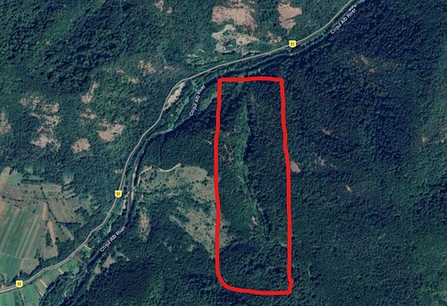 Padure - in suprafata de 116200 MP