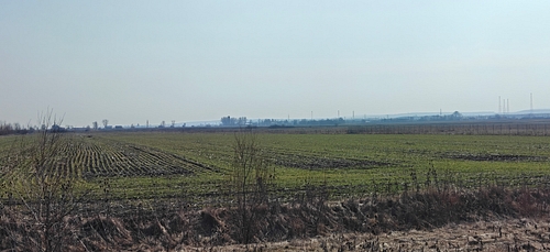 Teren agricol - in suprafata de 1600 MP