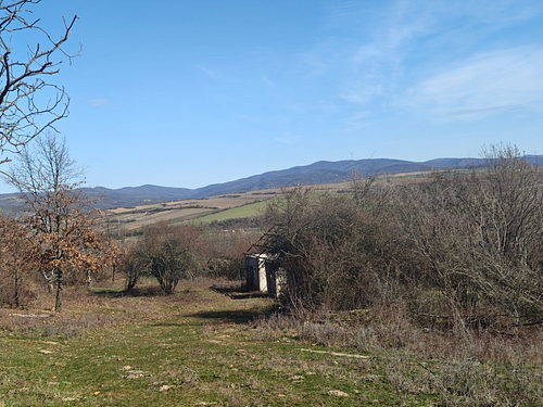 Livada Pîrneovan Carmen-Ramona_detalii 2