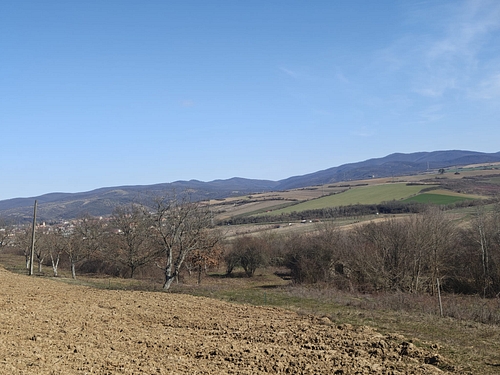 Livada Pîrneovan Carmen-Ramona_detalii 6