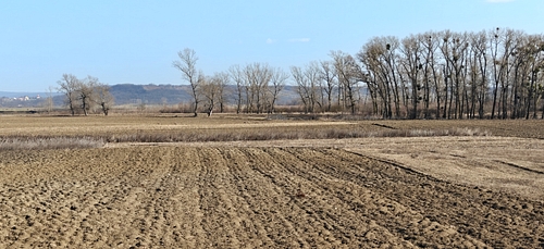 Teren agricol - in suprafata de 2500 MP