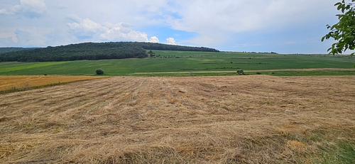 Teren agricol - in suprafata de 4100 MP