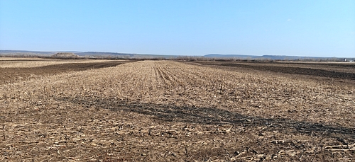 Teren agricol - in suprafata de 1455 MP