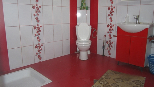 poza 11