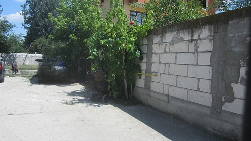poza 8