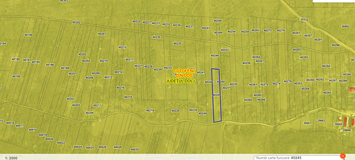 poza 2