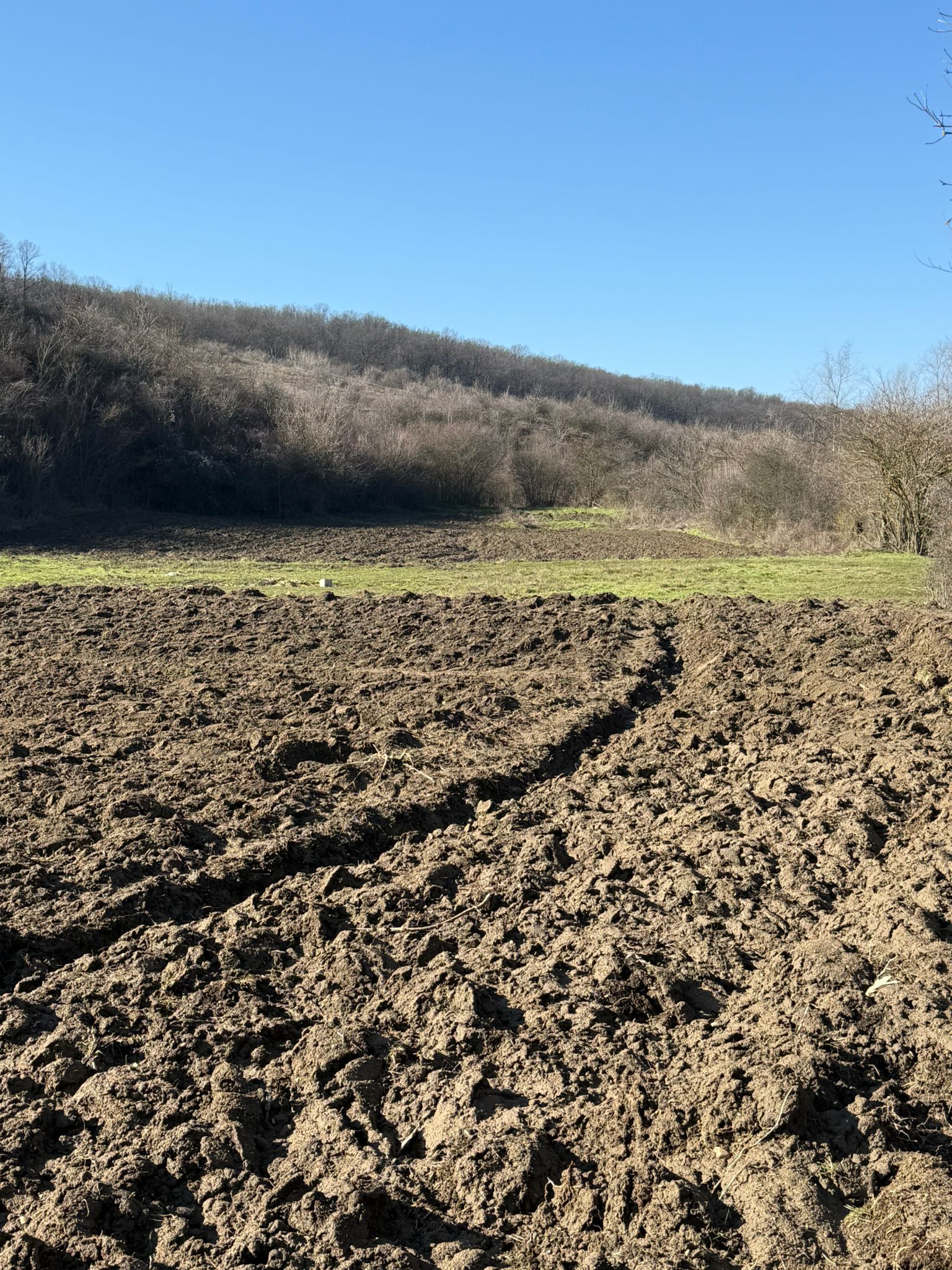 Teren agricol -
