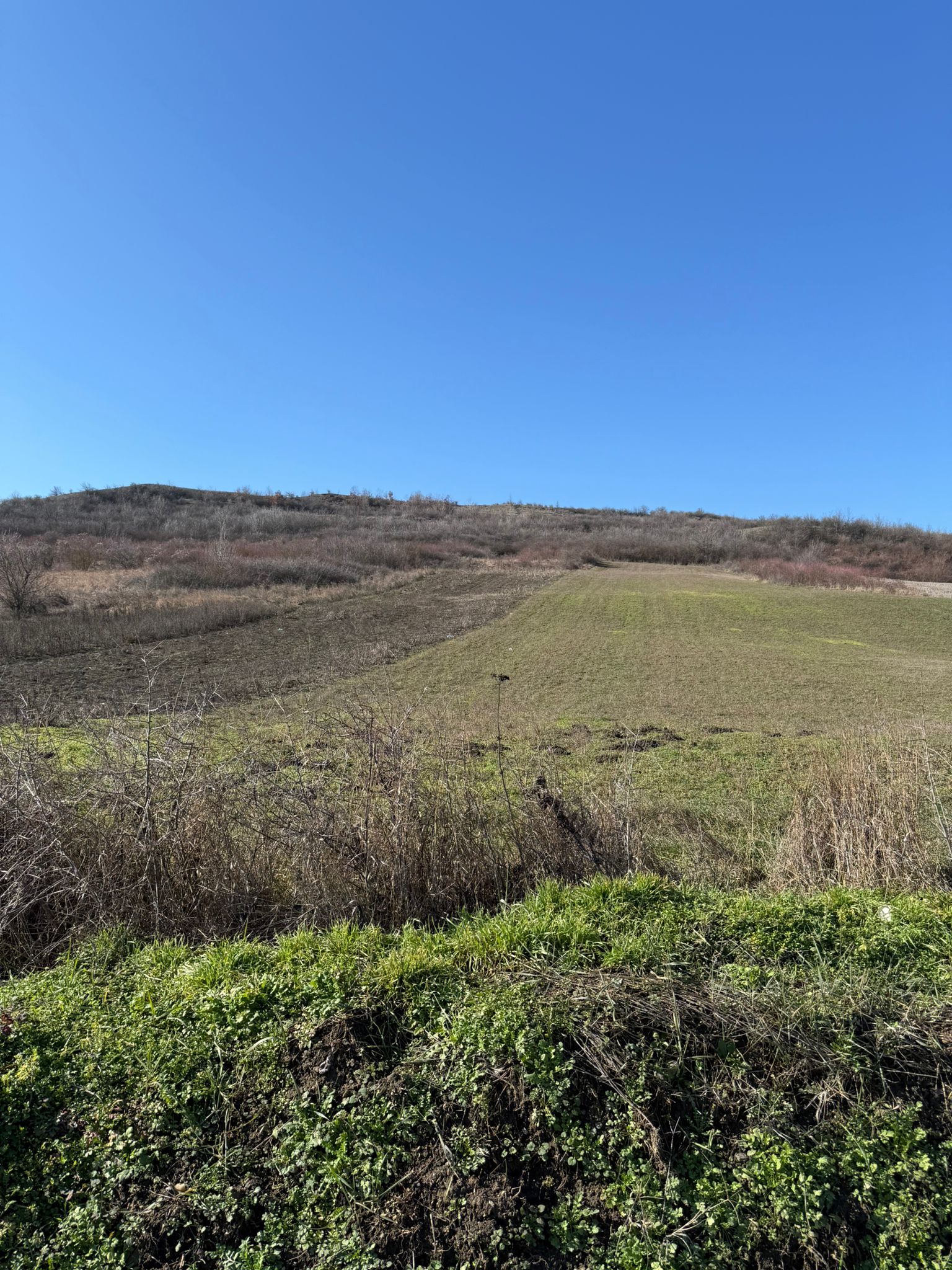 Cota de 1/4 si cota de 1/12 din teren extravilan in suprafata de 1000 mp