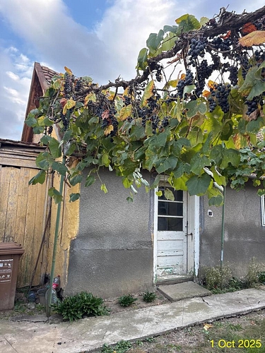 casa 3