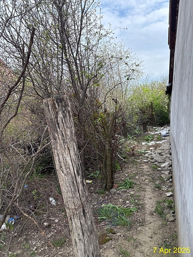 Casa - poza 6
