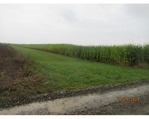 Teren agricol - extravilan in suprafata de 2575 MP