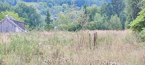 TEREN 249 mp  3