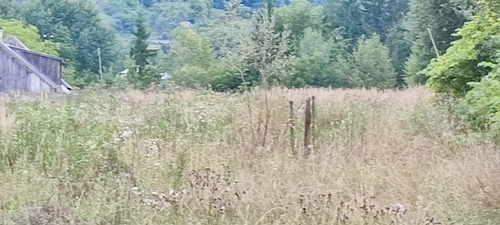 TEREN 249 mp  2