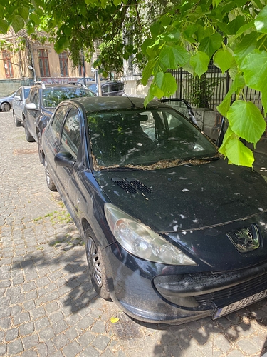 Autoturism marca PEUGEOT 206