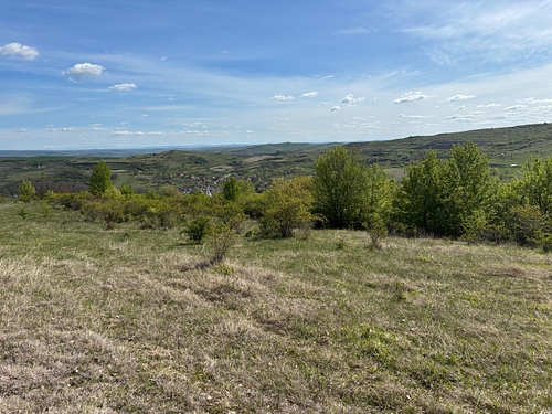 Teren extravilan, cota parte de ½, in suprafata de 8750 mp, situat in com. Chinteni, jud. Cluj