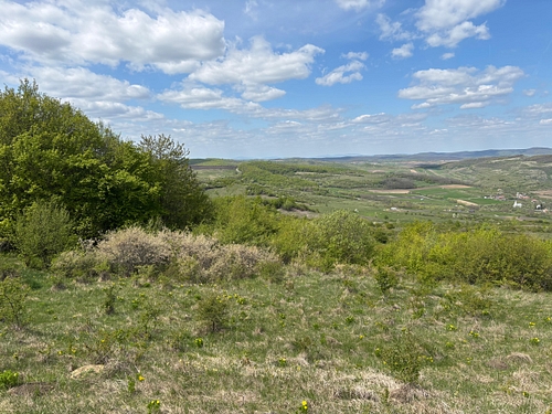 Teren extravilan faneata, cota de ½, in suprafata de 750 mp,  situat in com. Chinteni, jud. Cluj